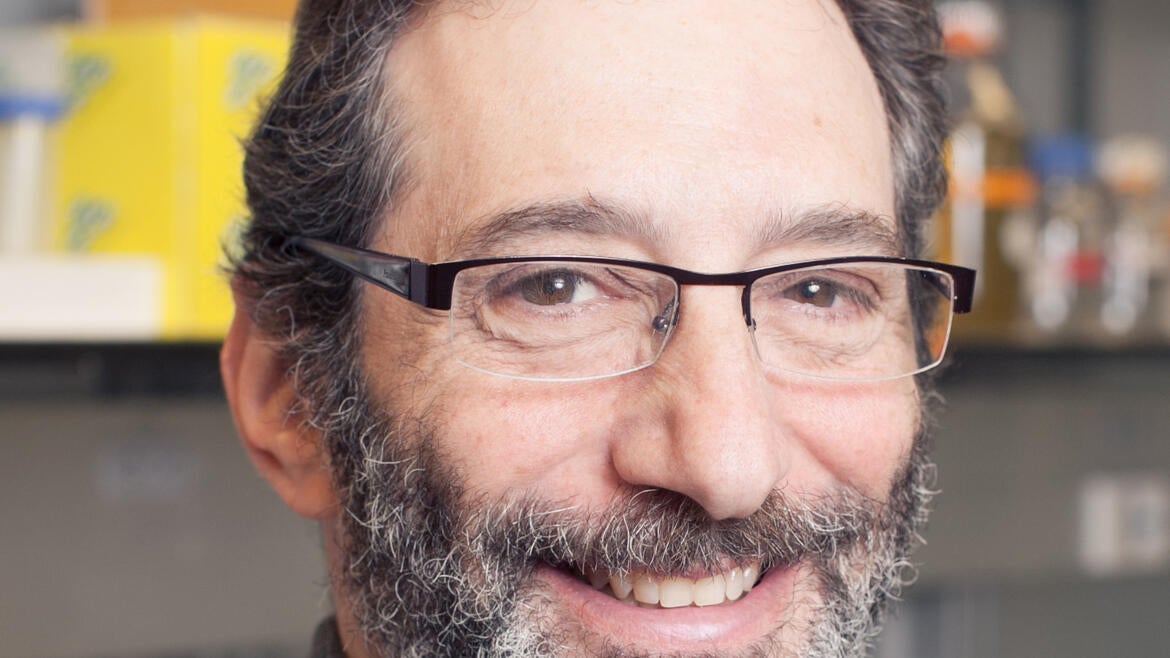 DR BIRNBAUM