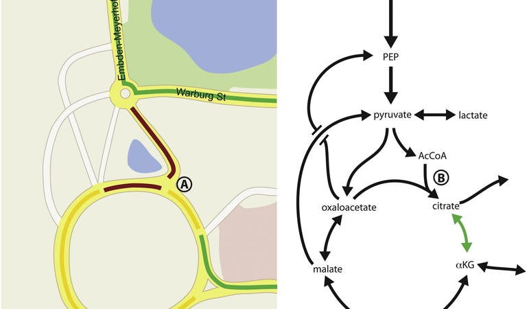 Road Map Analogy