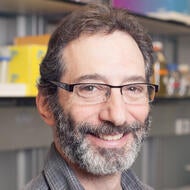 DR BIRNBAUM