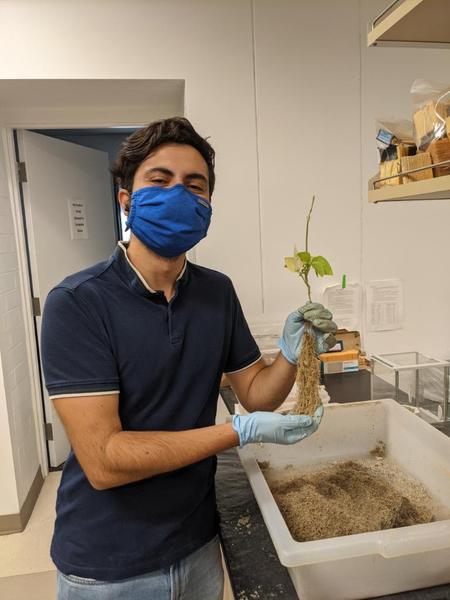 Gabriel Ortiz Lab Work